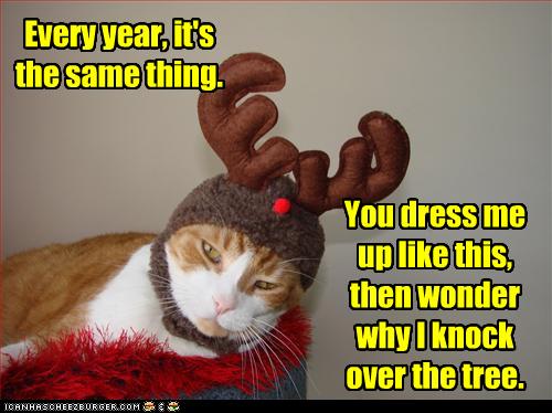 1724359034-funny-pictures-.jpg