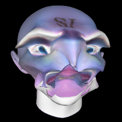 0170533355-lol-wut.png.png