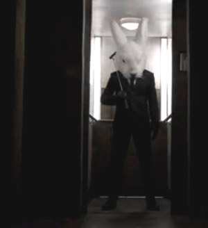 1099435067-rabbit6.jpg.jpg