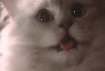 1706189317-1353138843613.g.gif