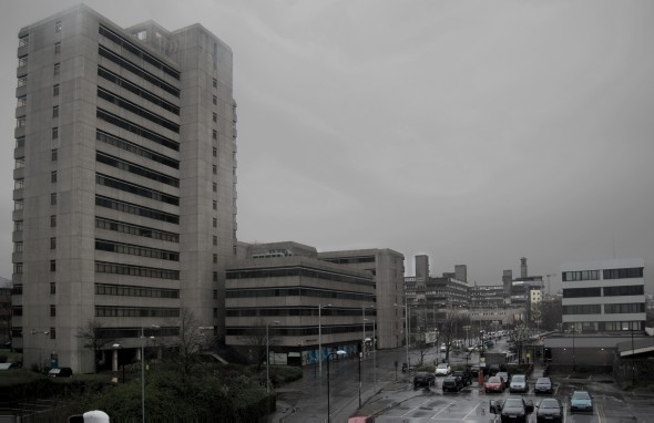 1833783845-concrete-jungle.jpg