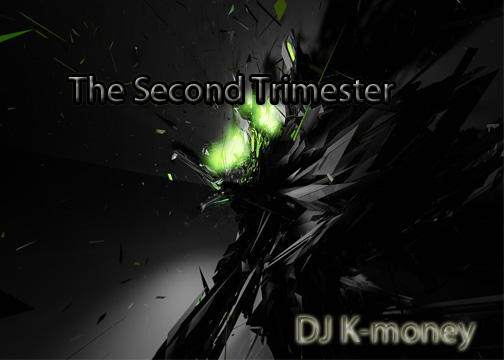 0814943243-the-second-trim.jpg