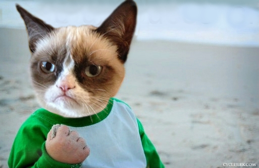 0439508439-successcat.png.png