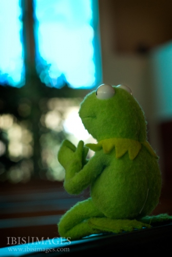 1509262579-kermit-church.j.jpg