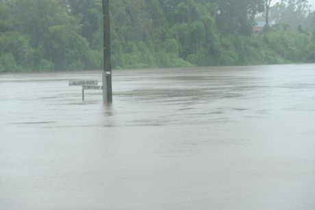 2127049199-9-1682268-lis28.jpg