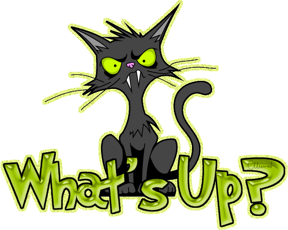 0781702781-217463.gif.gif