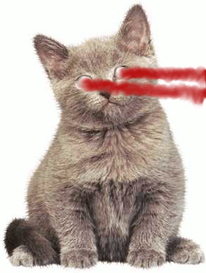 KITTYLAZORZ.gif