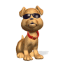 Dog.gif