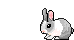 bunhop.gif