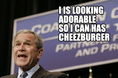 bush.jpg