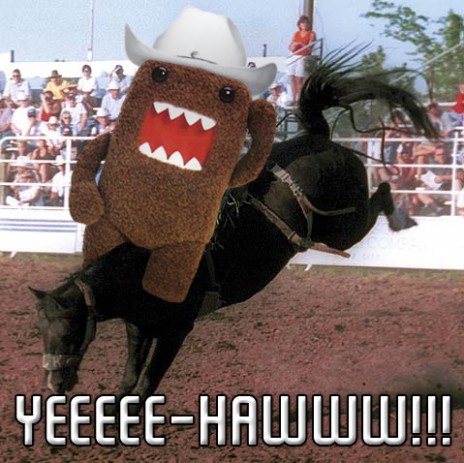 2_yeehaw_2.jpg