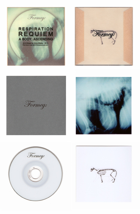 0028676111-formeg-mini-cd-.jpg