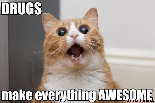 1323985033-here-kitty.png.png