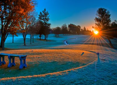1222392289-forsty-morning-.jpg