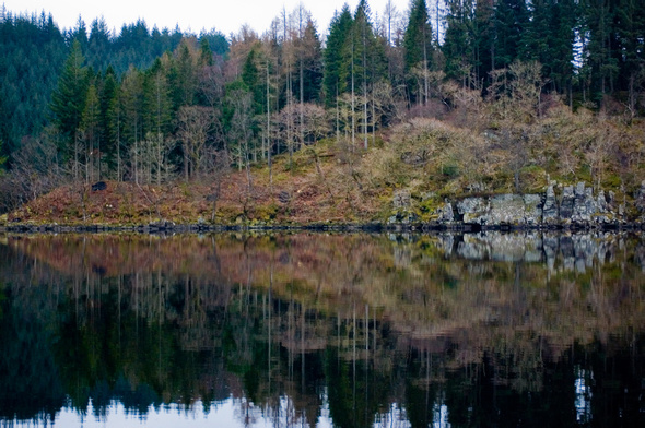 1366344706-dsc-4220.jpg.jpg