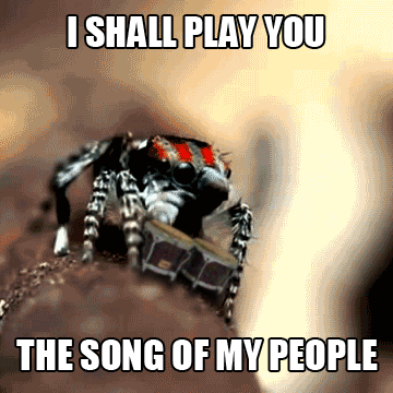 1777553549-b97.gif.gif