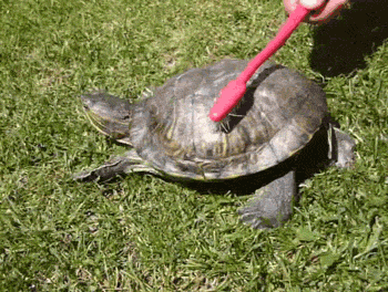 0669151497-tumblr-mk96hmrc.gif