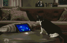 1243524746-1363296775509.g.gif