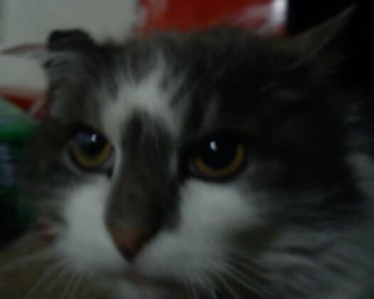 1369478289-img-20130502-20.jpg