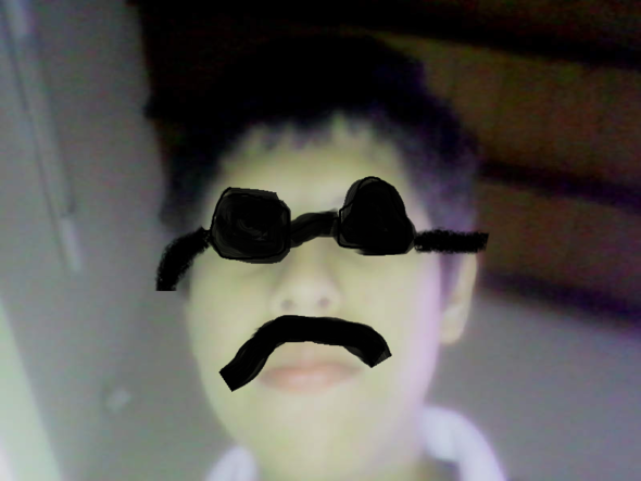 1790595306-webcam-toy-foto.png