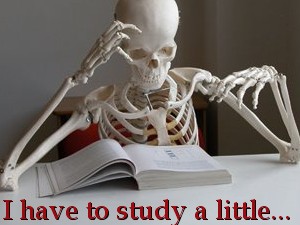 Tostudy.jpg