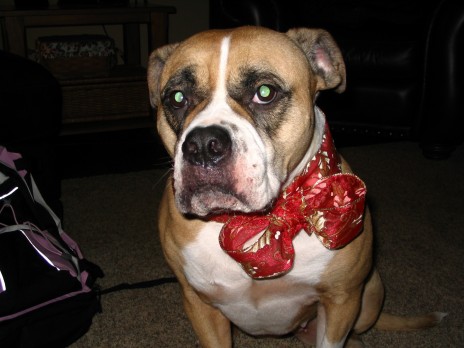 lucy_02.jpg