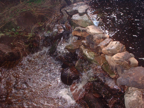 DSCF0021.jpg