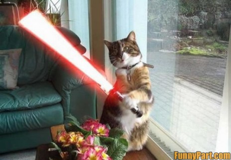 FunnyPart_com_star_wars_ca.jpg