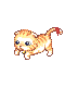 cat.gif