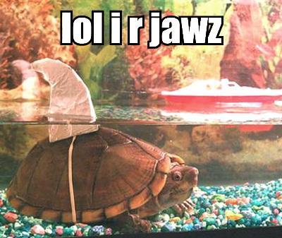 jawz.jpg