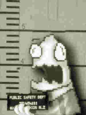 guy2.jpg