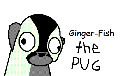 pug.GIF
