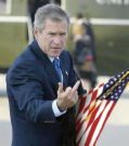 bush_attack.jpg
