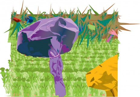 Van_Haaren_R_Mushroom.jpg