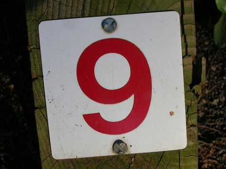 381402855_7736eac4fa.jpg