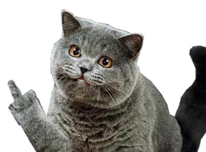 happyfuckyou1.jpg
