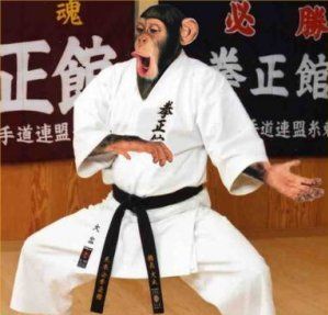 karate_chimp.jpg