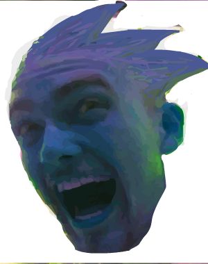 Rig_the_Hedgehog.jpg