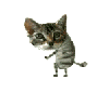 Dancing_kitty.gif