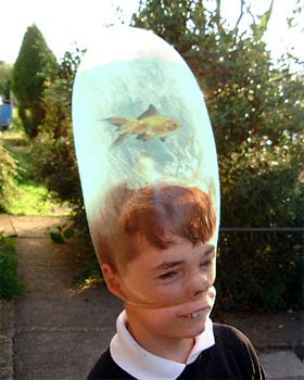 1203167425951.jpg