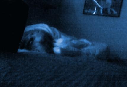 Picture_6065.jpg