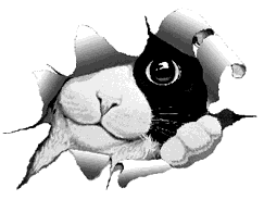 clipart_animals_cats_060.gif