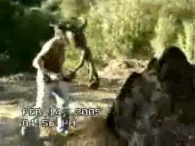 24985_UFO_Crashes_Woods_00.jpg