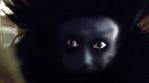 boo.jpg