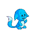 NG_Kacheek.gif