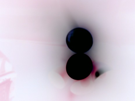 015.JPG