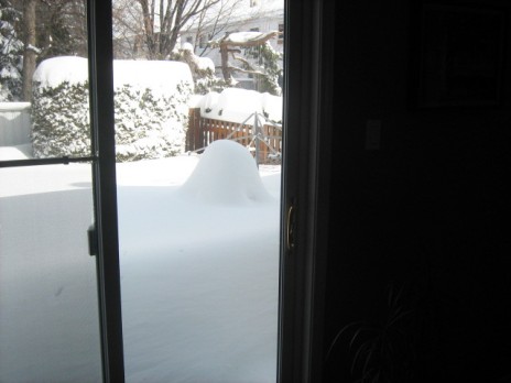 Picture_006.jpg
