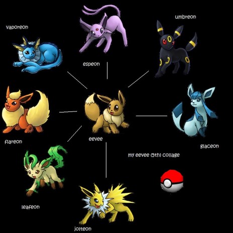 my_eevee_collage.jpg