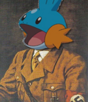 mudkip star