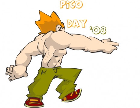 pico_preview1.jpg